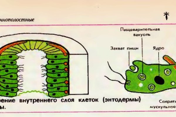 Зайти на кракен через браузер